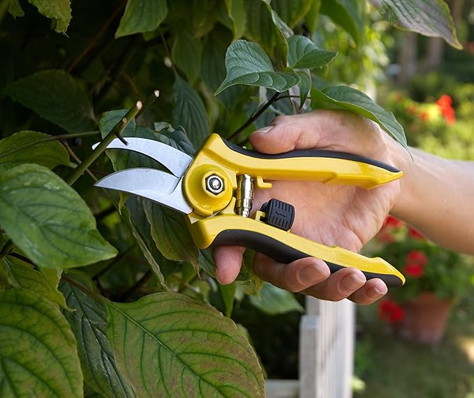 Dramm 18046 ColorPoint Bypass Pruner with Stainless Steel Blade, Berry