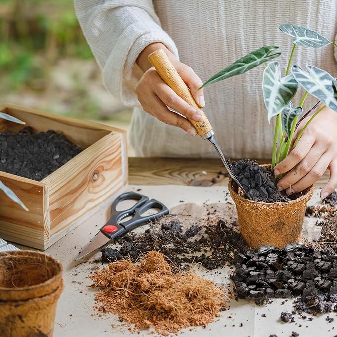 Horticultural Charcoal 1qt for Plants, Actived Charcoal Terrarium Supplies, Suitable for Indoor Plants, Succulent, Orchid, Cactus, Bonsai