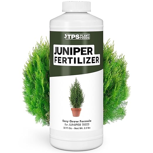 Juniper Fertilizer – Liquid Plant Food for Dense Growth, Rich Green Color & Stronger Root Development, 32 oz