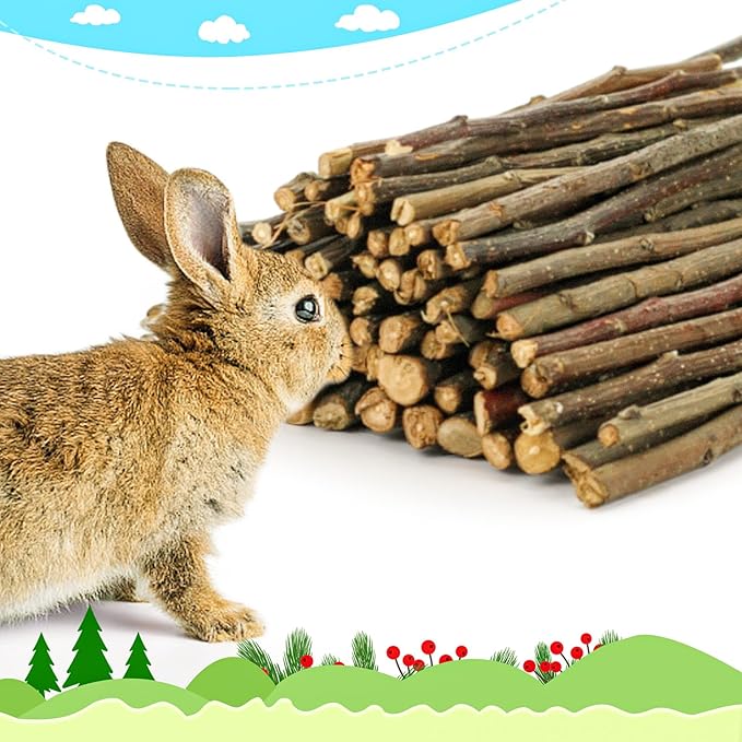 matafat 600g/1.3lb Apple Sticks Chew Toys for Guinea Pigs Rabbit Teeth Grinding Treats Toys for Bunny Chinchillas Hamster Gerbil Parrot Small Animal Pet Supplies