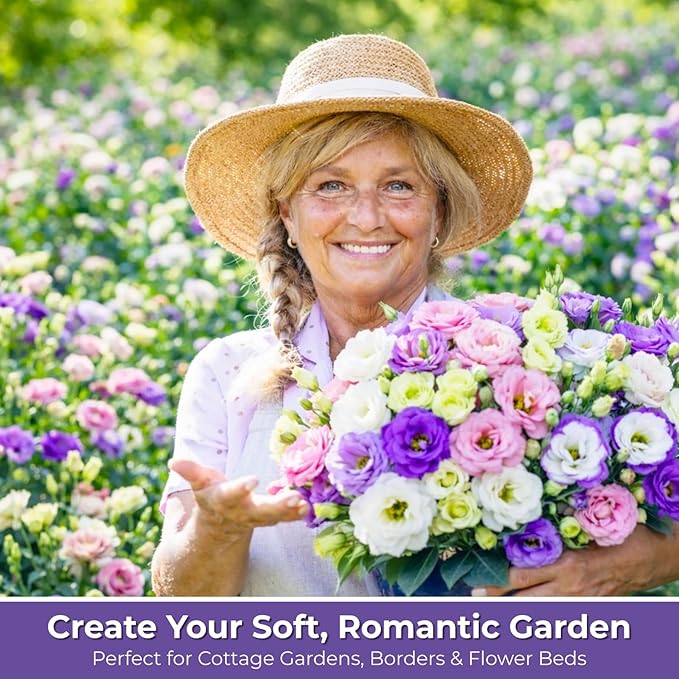 1000+ Lisianthus Seeds for Planting - Mixed Color Perennial Eustoma Grandiflorum Seeds for 2026, Wildflower Thornless Rose Flowers Seed for Planting, Non-GMO, Garden, Indoor Blooms,