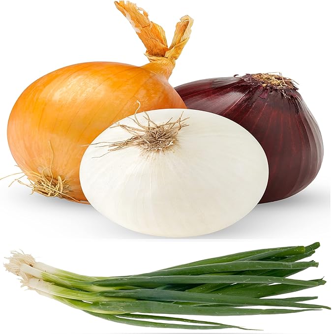Onion Seeds Variety Pack for Planting – 4 Heirloom Non-GMO Varieties: Evergreen Bunching, Red Creole, White Sweet Spanish & Yellow Sweet Spanish – Garden Vegetable Seeds for Home Growing Indoors & Outdoors.