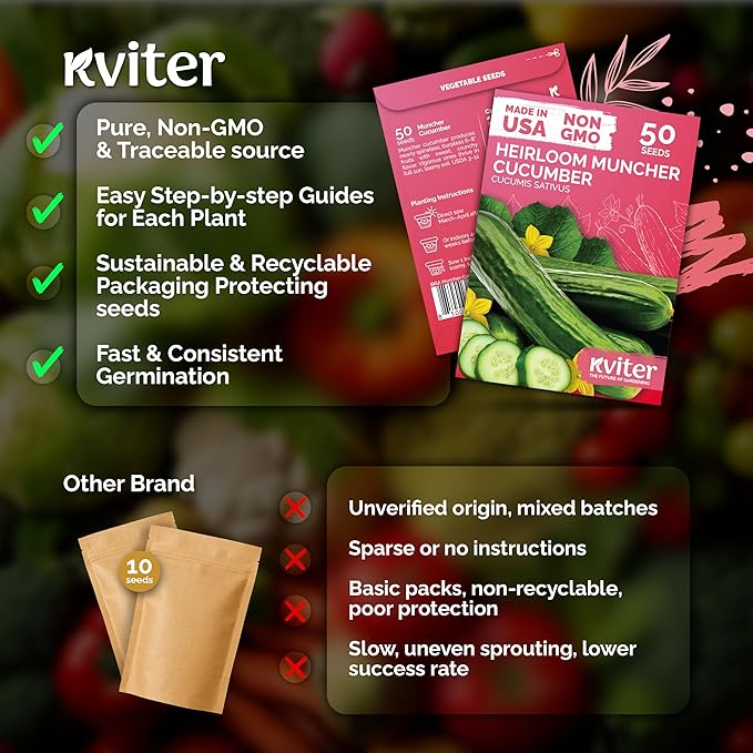KVITER 50 Muncher Cucumber Seeds (Cucumis sativus) – Burpless & Seedless Cucumber Organic, Non GMO & Heirloom Cucumbers – Vegetable Seeds for Planting Outdoors in Home Garden & Containers