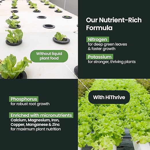 32oz Aeroponics & Hydroponics Liquid Plant Food - Up to 96 Feedings - Rich in Hydroponic Nutrients, Ideal Hydroponic Plant Food & Liquid Fertilizer for Indoor and Outdoor Hydroponics Growing Systems