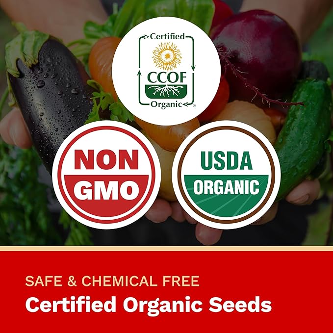 The Harvest Company Organic Seeds Collection – USDA Certified, Non-GMO, Open-Pollinated for Indoor & Outdoor Planting (Genovese Basil)
