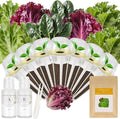 Caesar Salad Seed Pod Kit for AeroGarden, idoo, Ahopegarden, MUFGA with Green Romaine Lettuce, Red Romaine Lettuce, Spinach, and American Fast Lettuce - Compatible with All Garden(7-Pod)