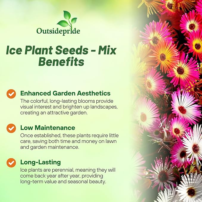 Outsidepride Mix Ice Plant Seeds - 5000 Pcs Perennial, Drought Tolerant Ground Cover Seeds for Planting Vibrant Trailing Blooms, Ideal for Sunny Gardens & Xeriscape Landscaping