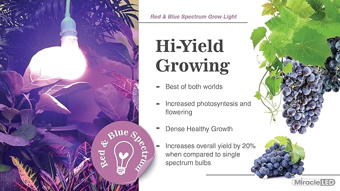 Miracle LED 4KK Indoor Grow Light Bulb – 4000K Red and Blue Spectrum Grow Bulbs for Vegetables, Herbs, Hydroponics. (2-Pack)