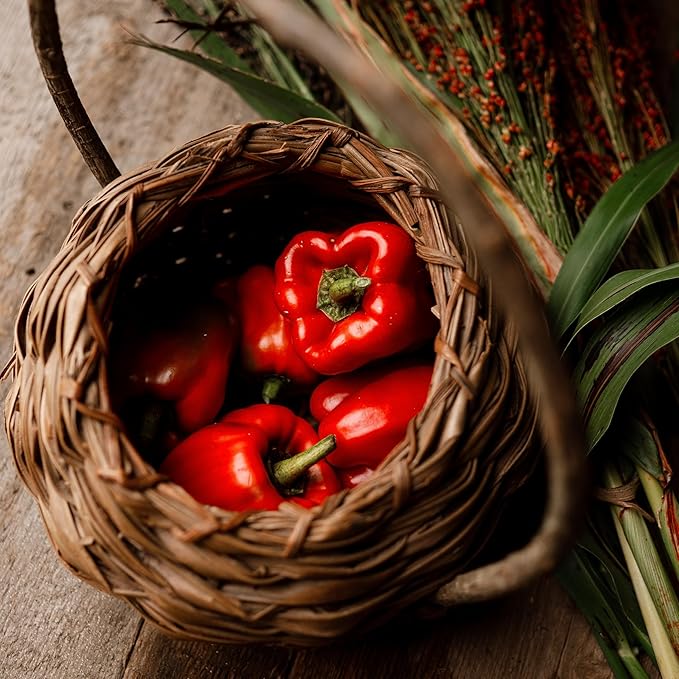 Ozark Giant Red Bell Pepper - 25 Seeds - Sweet Heirloom Variety, Great for Southern Gardens, Non-GMO Vegetable Seeds for Planting Outdoors in The Home Garden, Thresh Seed Company