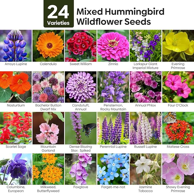 Groundio Zinnia & Wildflower Seed Mix, 2 Oz (2 Packs), Flowers Seeds for Planting, Open Pollinated, Non GMO Made in USA