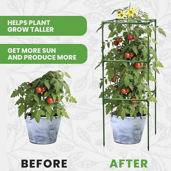 Square Tomato Cage - Large Trellis Stakes and Plant Support Structures for Vegetables and Climbing Plants - Tall Tomato Cages for Garden, Pots, Raised Garden Bed Outdoor Supplies (3 Pack - Up to 41")
