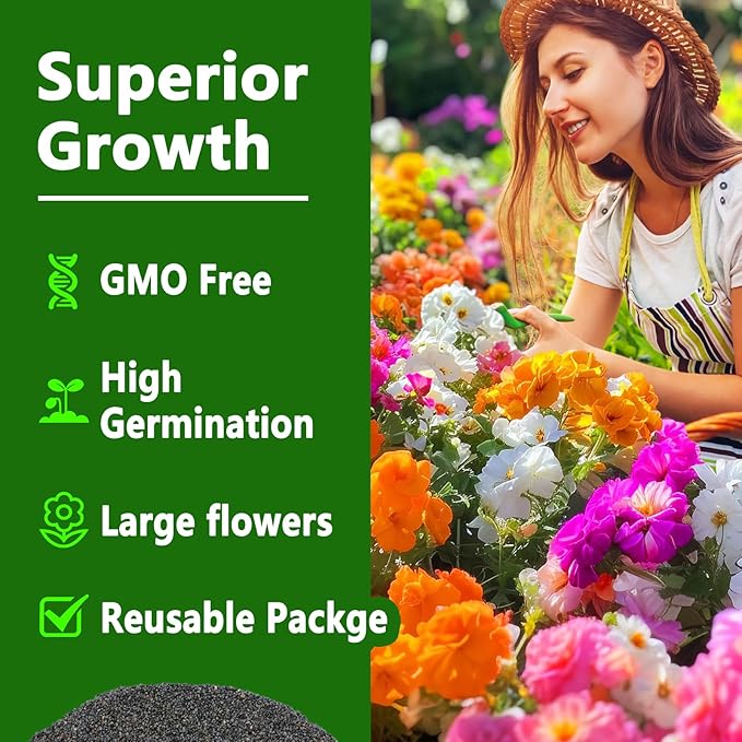 Moss Rose Seeds, 10,000+ Bulk Flower Seeds for Planting Outdoors(99% Pure Live, Non-GMO), Mixed Colors and Large Blooms, Attracts Pollinators, Easy to Grow