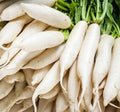 Japanese Daikon Radish Seeds for Planting - 100 Heirloom Non GMO Seeds - Full Planting Instructions to Plant & Grow a Home Vegetable Garden - Great Gardening Gift, 3 Packets