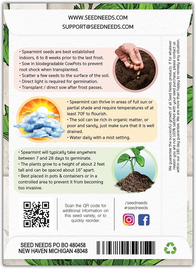 Seed Needs Mint Seeds for Planting Spearmint Herbs - Non-GMO Heirloom & Untreated Perennial Herb Seed to Plant a Home Grown Herb Garden Indoors or Outdoors (2 Packs)
