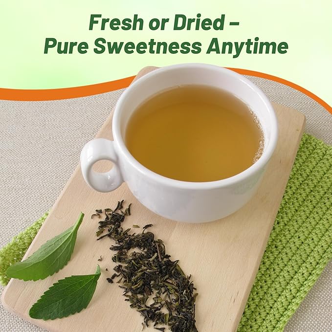 Outsidepride Stevia Sweetleaf Seeds - 50 Pcs. Perennial, Versatile & Low Maintenance, Herb Seeds for Planting Tender & Sweet Leaves, Great for Culinary Creations, Tea Blends, and Homemade Recipes