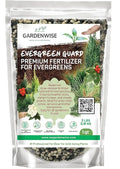 Evergreen Fertilizer – All-Purpose Granular Plant Food for Outdoor Trees and Shrubs, Azaleas, Magnolias, Pines & Arborvitae – Slow-Release Formula (4 quarts)