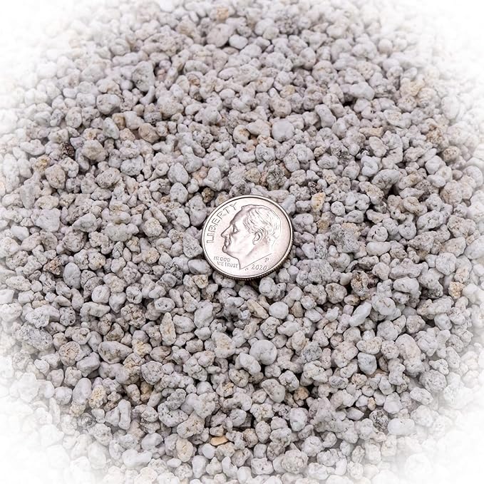 GARDENERA Premium Organic Perlite - Medium Grade - Horticultural Soil Amendment for Indoor & Outdoor Container Plants for Drainage Management and Enhanced Growth - 3 Quart