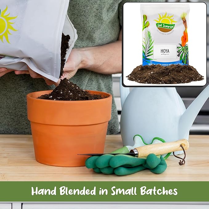 Soil Sunrise Hoya Plant Potting Soil Mix (8 Quarts) Custom Blend for Growing Hoya Tropical Houseplants