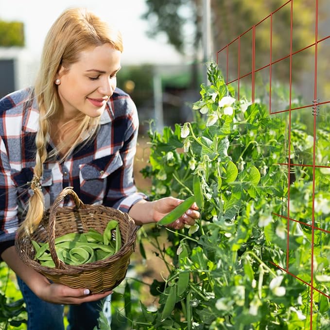 DOEWORKS Cucumber Trellis, 39" High Foldable A Frame Garden Trellis, 2 Pack, Plant Support for Climbing Cucumber, Beans, Tomatoes, Flowers, Red