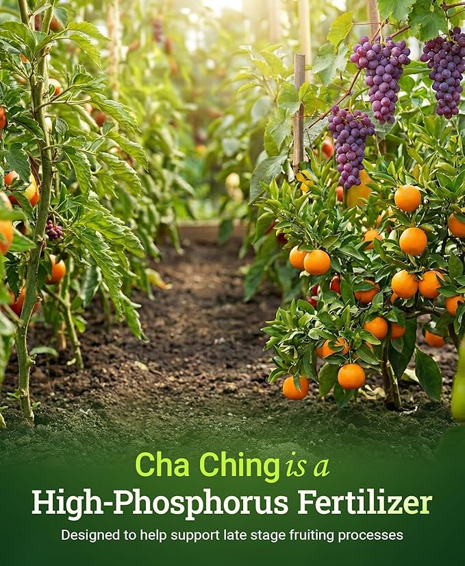 FoxFarm Cha Ching Water Soluble Fertilizer for Late Flowering & Harvest - High Phosphorus Fertilizer 9-50-10 Formula, Supports Fruit Development - Ideal for Hydroponics & Soil Use - 6 oz