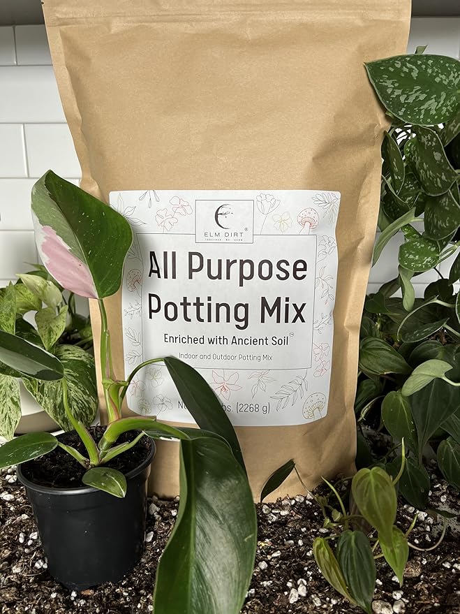 Elm Dirt Potting Soil Indoor & Outdoor Plants - All Purpose Potting Mix Ancient Soil for House Plants | Premium Nutrition for Garden Soil - All Purpose Formula for Vegetables, Flowers and Herbs(5 lbs)