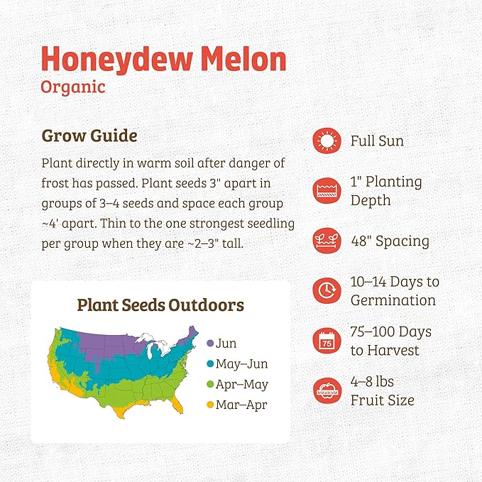 Back to The Roots 100% Organic Seed Packet - Honeydew Melon 'Green Flesh' 800mg