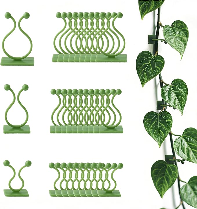 Beurio Plant Clips for Climbing Plants, 30 Pcs 3 Sizes Set Vine Wall Clips, Self Adhesive Durable Plastic Ivy and Pothos Support Holders, Indoor Greenery Arrangement, Wall Decor, Cable Management