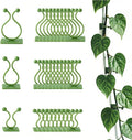 Beurio Plant Clips for Climbing Plants, 30 Pcs 3 Sizes Set Vine Wall Clips, Self Adhesive Durable Plastic Ivy and Pothos Support Holders, Indoor Greenery Arrangement, Wall Decor, Cable Management