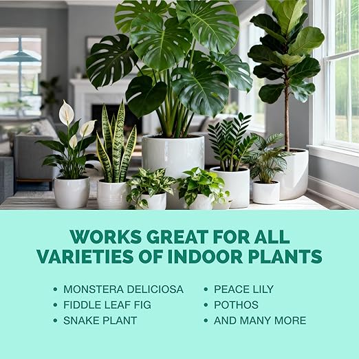 Indoor Plant Food – Liquid Fertilizer for Houseplants, New Growth, Greener Leaves, and Strong Roots, 8oz