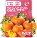 KVITER 50 Sugar Pumpkin Seeds Organic (Cucurbita Pepo) – Small Pumpkin Heirloom Seed, Sweet Fine-Grained Flesh for Canning & Pies – Vegetable Seeds for Planting in Outdoor Garden