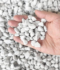 30 QT Professional Grade Horticultural Organic Perlite (30 QT, Large Size - Perlite)