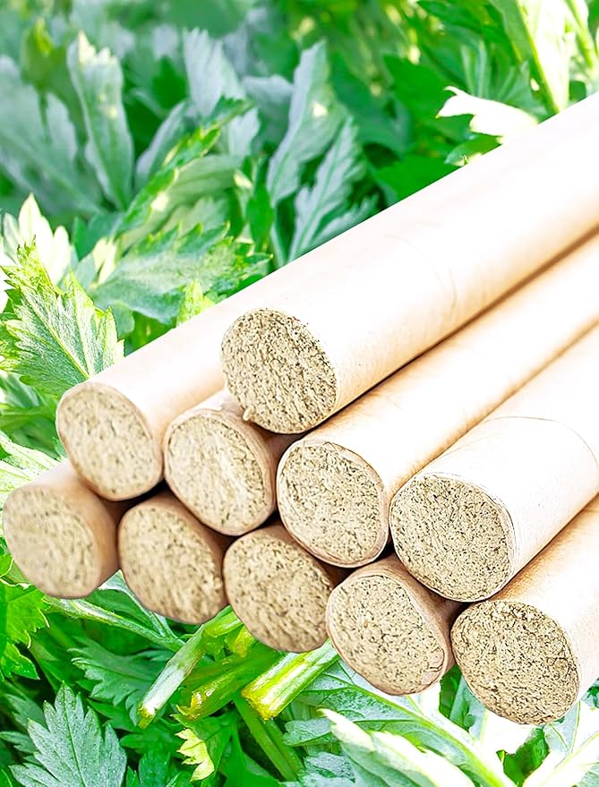 TomorrowSeeds - Common Mugwort Seeds - 5000+ Count - for 2025 Planting Artemisia Vulgaris Wormwood Weed Moxa Moxibustion Riverside Acupuncture Perennial Vegetable Herb Grow Your Own Home Farm Patio