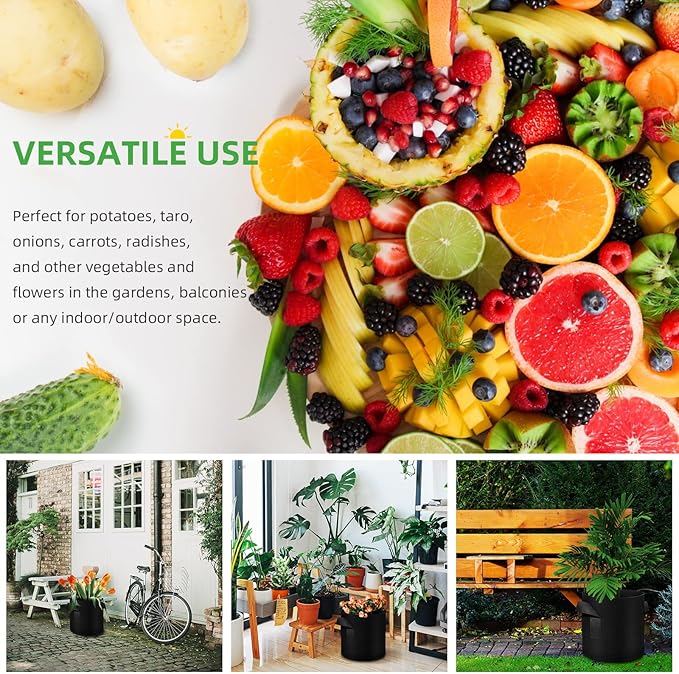 12 Pack 3 Gallon Plant Grow Bags, Thickened Nonwoven Fabric Pots with Handles, Vegetable Planter Bags Containers, Cloth Planters for Garden Vegetable/Flower/Plant/Fruits Outdoor (Black)