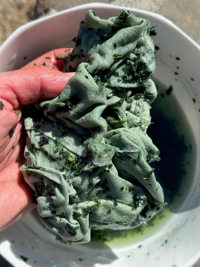 Plant Good Seed Japanese Indigo Seeds for Planting: Grow for Plant Dye, Makes Green Blue Colors - 200 Seed Packet