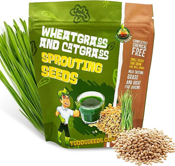 Todd's Seeds Wheatgrass Seeds; Hard Red Winter Wheat, Non-GMO, Chemical Free, High Germination (1/2 Pound)