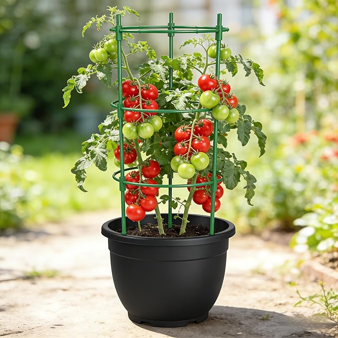 5 Packs Tomato Cages for Garden Cherry Tomato Cage Plant Support Structures, Vegetables Climbing Plants Plant Trellis for Climbing Vegetable Metal 18" with 1 Twist Tie 10 Plant Clip