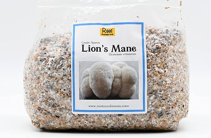 Mushroom Spawn-Lion's Mane Grain Spawn (NOT A GROW KIT)
