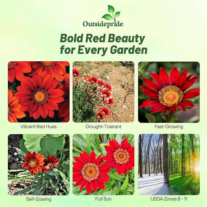 Outsidepride New Day Red Shades Gazania Seeds for Planting – 25 Pcs Perennial, Low-Maintenance, Drought-Tolerant Ground Cover Seeds for Vibrant Summer & Fall Flowers, Great for Outdoor Gardens
