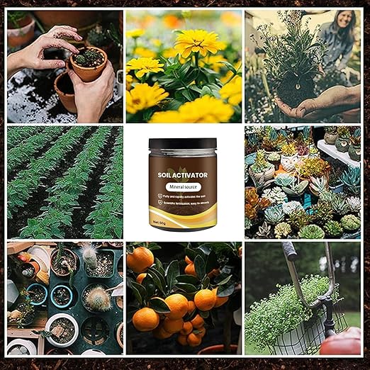 2PCS Soil Activators, Organic Soil Activators and Plant Fertilizers, Garden Beds for Cultivation, Potting Mix and Seedling Compost, Promoting Plant Rooting 60g