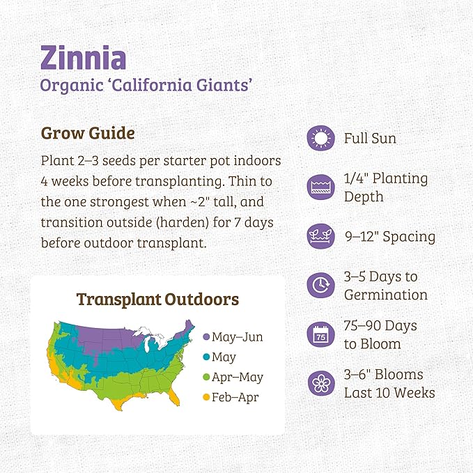 Back to The Roots 100% Organic Seed Packet - Zinnia 'California Giants' 210mg