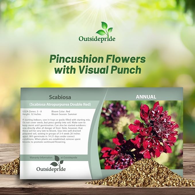 Outsidepride Double Red Scabiosa Seeds - 400 Pcs Perennial Pincushion Flower Seeds That Attract Pollinators, Upright & Neat Growth Habit for Small Gardens, Borders, Containers, & Xeriscaping