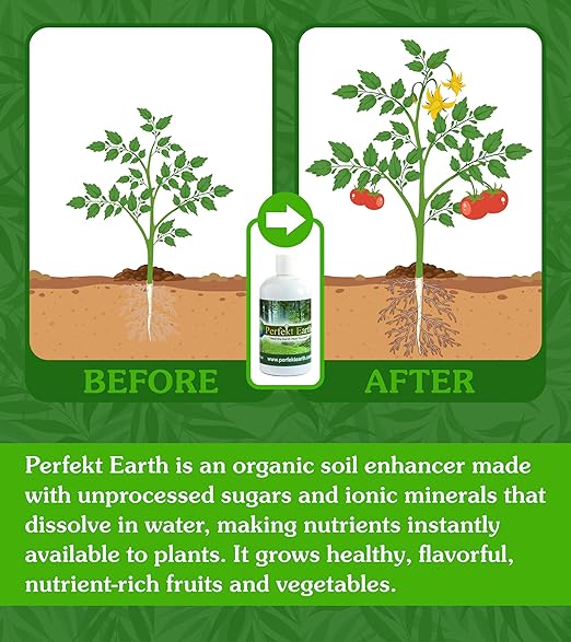 Perfekt Earth Organic Fertilizer - Indoor Plant Food - Liquid Plant Fertilizer - Organic Food for Flowers, Fruits, and Vegetables - Easy to Use 1 Pint Bottle