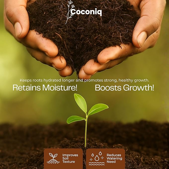 COCONIQ Premium Coco Coir Bricks 2 Pack - Lightweight Cocopeat for Garden Soil, Compressed Coconut Fiber Brick for Potting, Gardening, Planting, Seed Starting, Indoor & Outdoor Plants, Set of 2