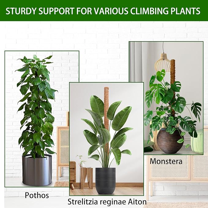 3 Pack 50 Inch Bendable Moss Pole Monstera Plant Support for Climbing Plants Indoor DIY Tall Moss Ploles Made of Coco Coir Sticks Support Stakes for Pothos Philodendron Potted Plants to Grow Upwards