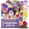 2000+ Lisianthus Seeds for Planting - 2 Pack Mixed Color Perennial Eustoma Grandiflorum Seeds for 2026, Thornless Rose Flowers Seed for Planting, Wildflower, Non-GMO, Garden, Indoor Blooms