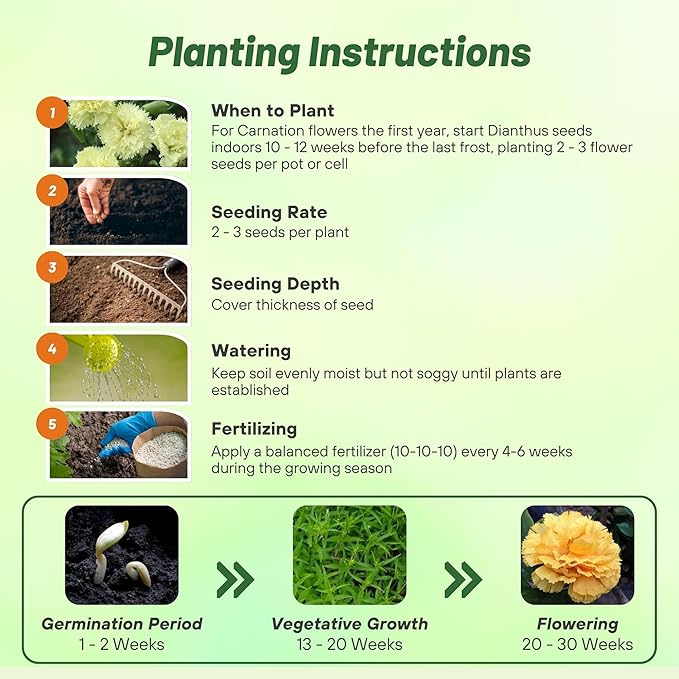 Outsidepride Yellow Carnation Seeds - 2000 Pcs Biennial, Easy to Grow Flower Seeds for Planting with Fragrant Blooms, Ideal for Pollinators, Cutting Gardens, Bouquets, & Floral Arrangements