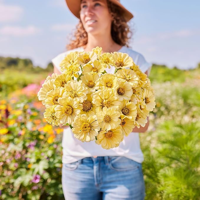 Eden Brothers Zinnia Seeds - Isabellina, Non-GMO Seeds for Planting, 1 oz | Low-Maintenance Flower Seeds, Plant During Spring, Zones 3, 4, 5, 6, 7, 8, 9, 10
