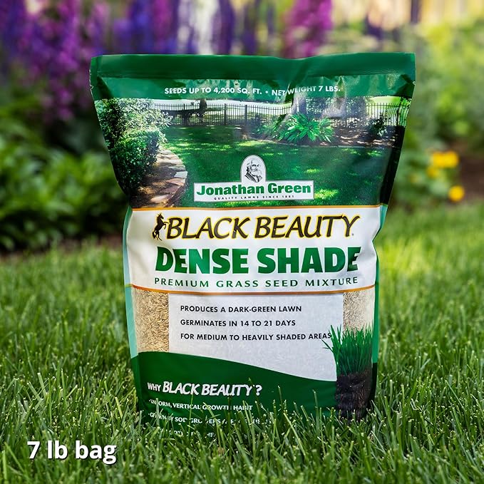 Jonathan Green (10620) Black Beauty Dense Shade Grass Seed - Cool Season Lawn Seed (7 lb)