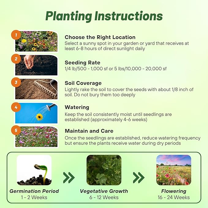 Outsidepride Insectary Wildflower Seed Mix - 5 lbs Combination of Deep-Rooted Perennial & Fast Growing Annual Wildflower Seeds for Attracting Beneficial Insects & Enhancing Biodiversity