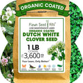 Flawn Seed Kits White Dutch Clover Seed, 1 Lb, Organic Coated, Natural Lawn, Ground Cover, Hunting Food Plot, Covers up to 3,600 Sqft